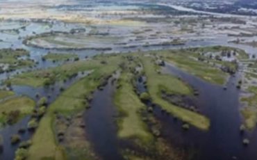 Скриншот видео