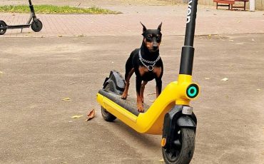 Фото: instagram.com/lena_hvashevskay