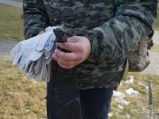 Снимок носит иллюстративный характер