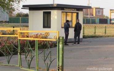 Фото иллюстрационное