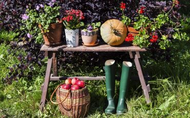 Фото: Elena_Mikhailova / iStock / Getty Images Plus / Getty Images