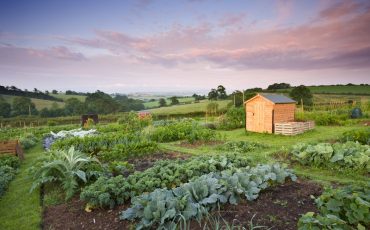 Фото: Nature Picture Libr / Getty Images