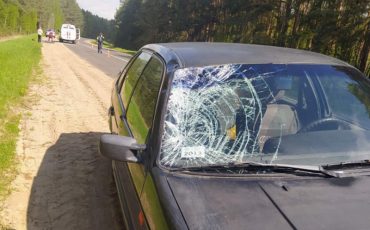 Фото УВД Брестского облисполкома