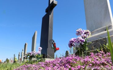 Снимок носит иллюстративный характер / из архива МП