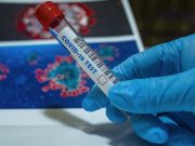 Снимок носит иллюстративный характер / Фото: pixabay.com