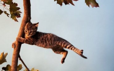 Снимок носит иллюстративный характер / Фото: bobrlife.by