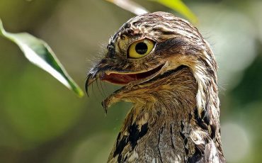 Фото: канал zen.yandex.ru ИЖФ Интересные жизненные факты