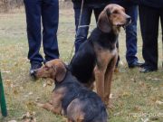 Фото из архива МП