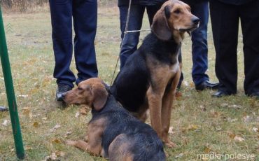 Фото из архива МП