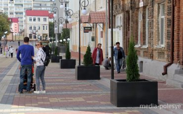 Снимок носит иллюстративный характер / Фото из архива Медиа-Полесья