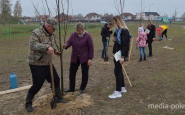 Снимок носит иллюстративный характер / Фото из архива Медиа-Полесья