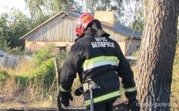 Фото использовано в качестве иллюстрации