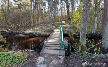 Снимок носит иллюстративный характер