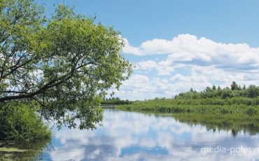 Снимок носит иллюстративный характер