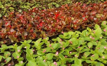 Фото: nc.bujkh.by