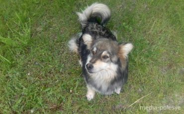 Снимок носит иллюстративный характер