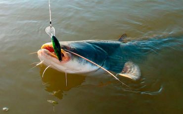 Фото использовано в качестве иллюстрации, fishingday.org