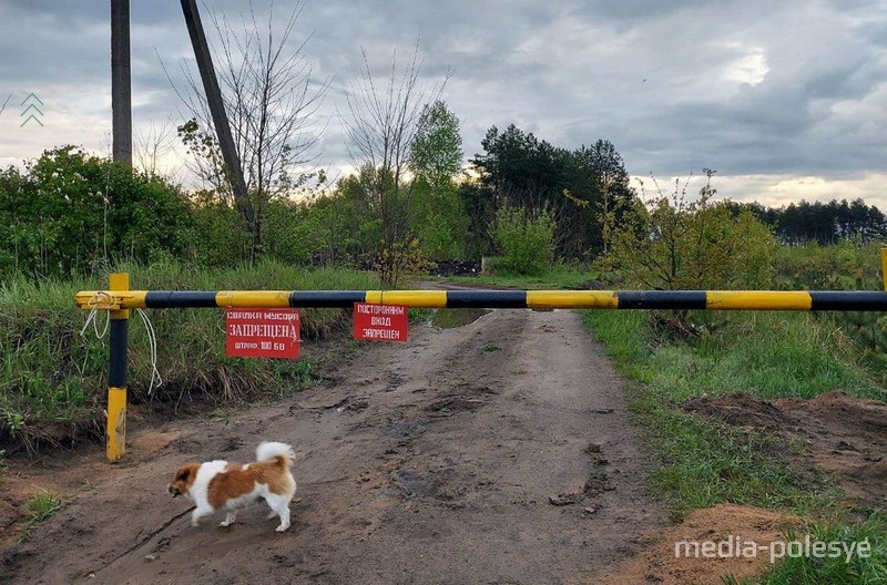 Фото использовано в качестве иллюстрации