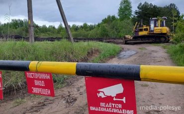 Фото использовано в качестве иллюстрации, из архива МП