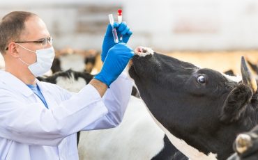 Фото использовано в качестве иллюстрации, bionit.ru