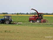 Фото иллюстрационное