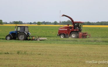 Фото иллюстрационное