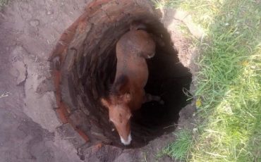 Фото Брестского ОУ МЧС