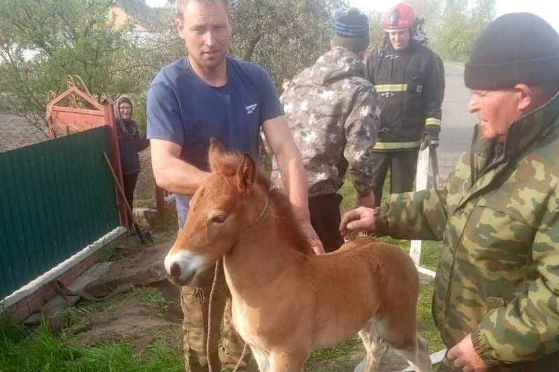 Фото Брестского ОУ МЧС