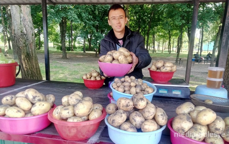 Алексей Невдах из Бродницы и его картошка большая и маленькая