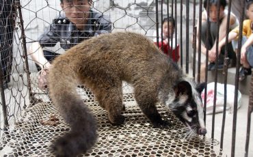 Фото иллюстрационное, ©Morocco World News