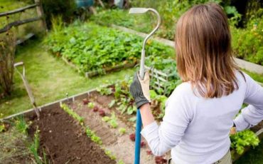 Снимок носит иллюстративный характер / Фото: ©twitter.com