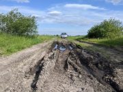 Дорога в деревню Малые Диковичи оказалась неприступной. В материале использованы фотографии 