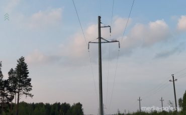 Снимок носит иллюстративный характер