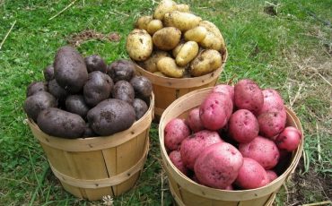 Фото ©Christina Pechloff