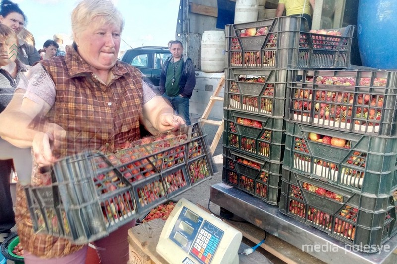 Клубнику в бочки грузят ящиками