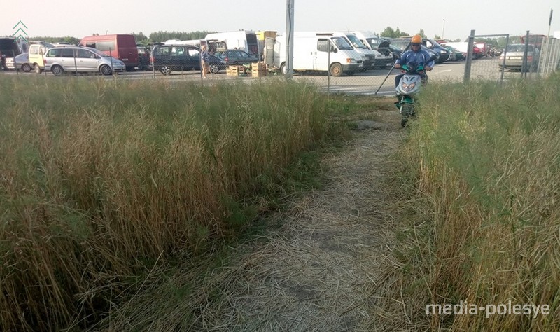 Дорожка с М-10 на рынок через рапсовое поле. Так прямее