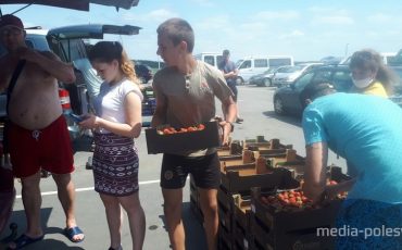 Ягода закупается быстро, но и цена упала