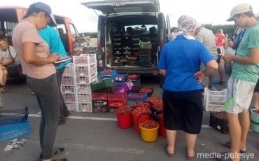 Клубника уходит по 2,2 рубля