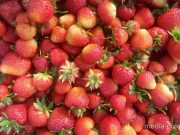 Эту клубнику купили по 3 рубля за кило