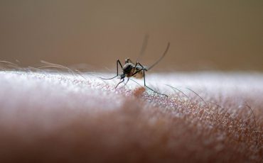 Фото: Legion Media