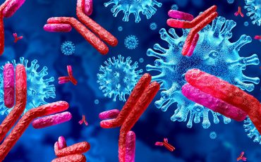 Снимок носит иллюстративный характер / Фото из открытых источников