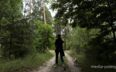 Снимок носит иллюстративный характер / Фото из архива Медиа-Полесья