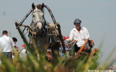 Снимок носит иллюстративный характер / Фото из архива Медиа-Полесья