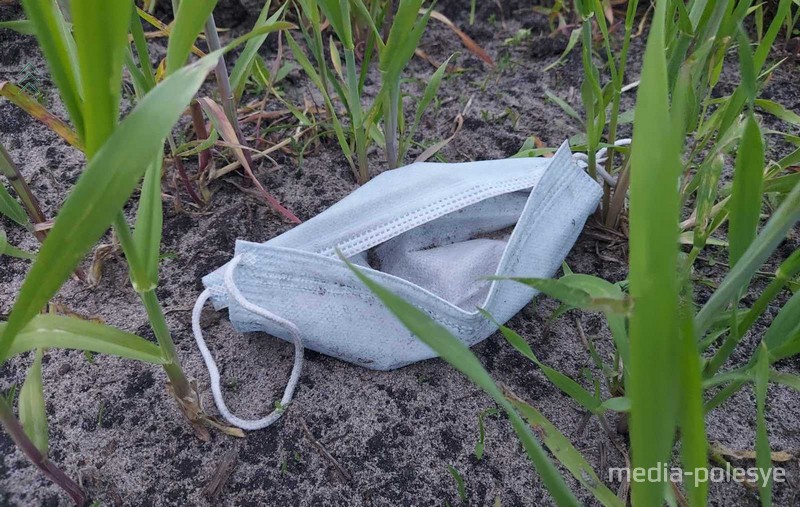 Снимок носит иллюстративный характер