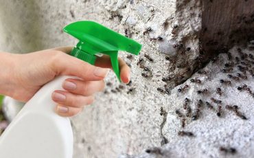 Фото использовано в качестве иллюстрации, Shutterstock / Fotodom