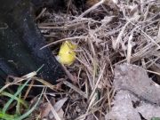 Фото используется в качестве иллюстрации