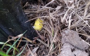 Фото используется в качестве иллюстрации