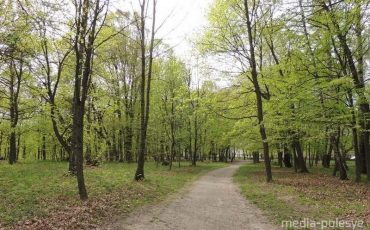 Фото из архива МП