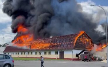 Фото используется в качестве иллюстрации