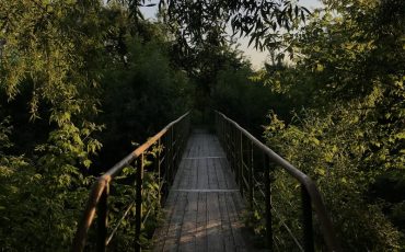 Снимок носит иллюстративный характер